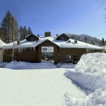 forest_suites_01 forest_suites_01
