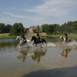 Castle Leslie