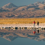 Excursion Salar Excursion Salar
