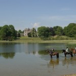 Horses in the lake Horses in the lake