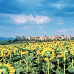 Provence