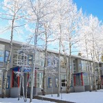 Aspen Meadows