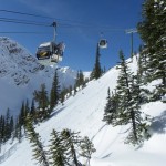 Kicking Horse